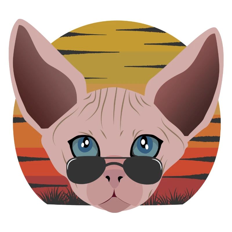 Sphinx Katze Sonnenuntergang