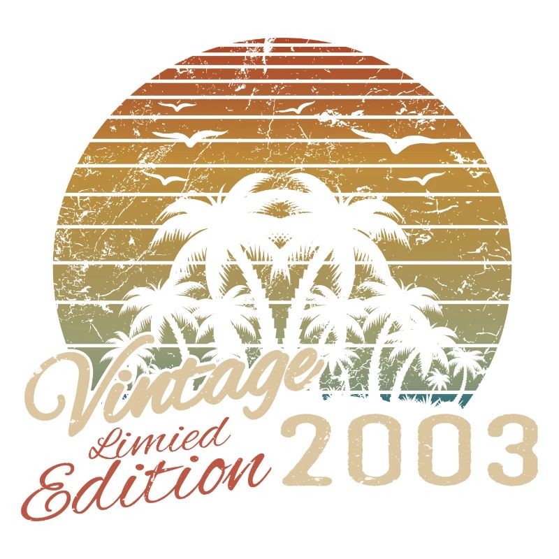 Vintage 2003 Birthday Gift 2003 Retro 2003