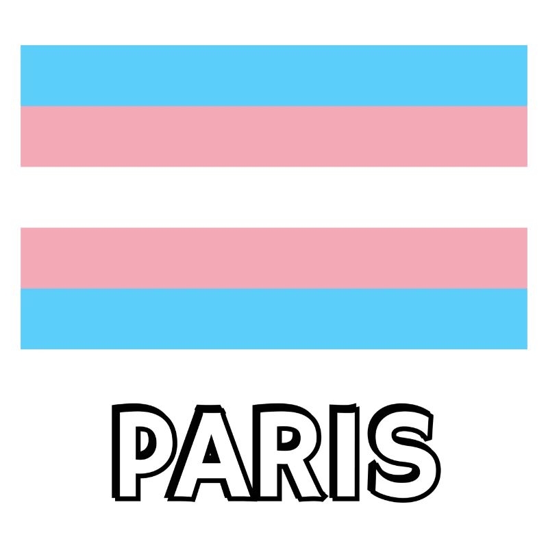 Trans Pride Flag Paris