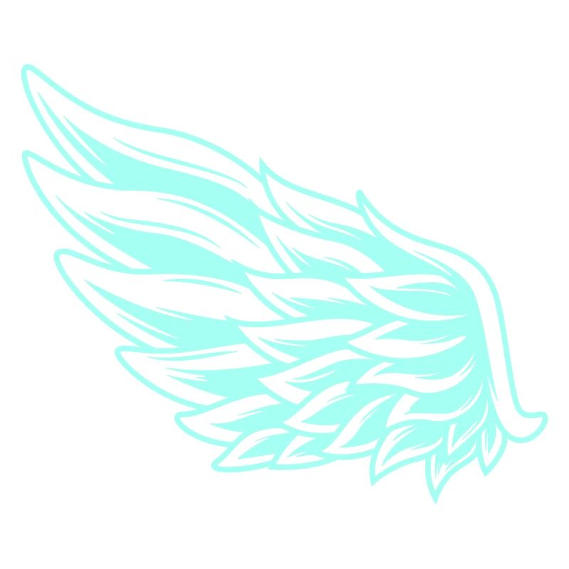 Wing 1