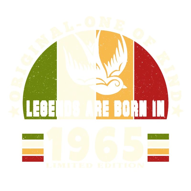 1965 Vintage Birthday Legend Gift