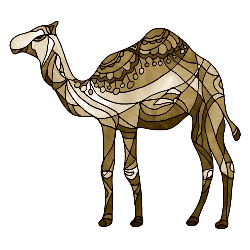 Camel