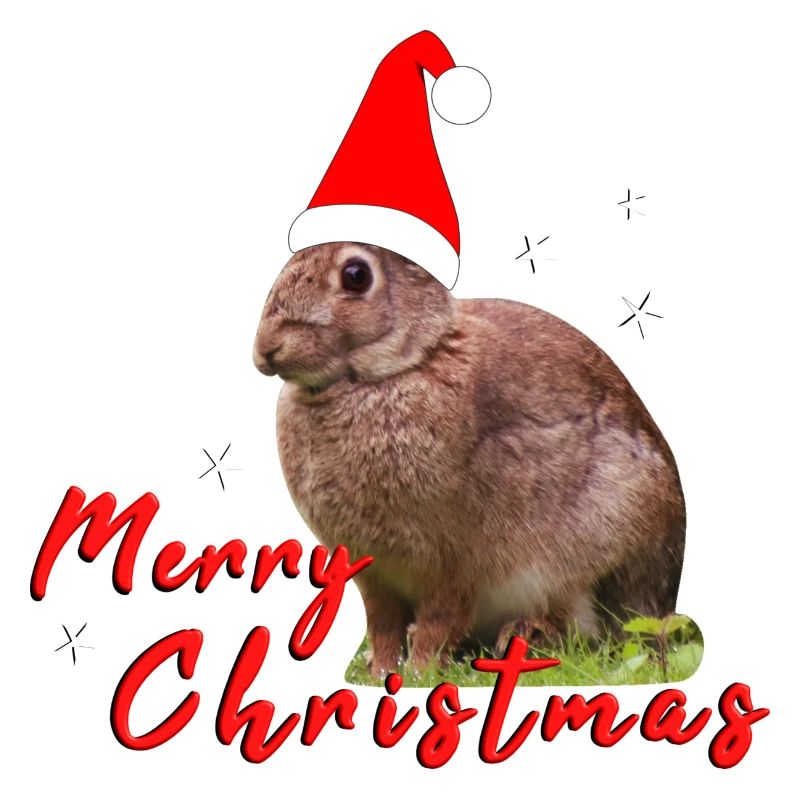 Joyeux Noël Lapin