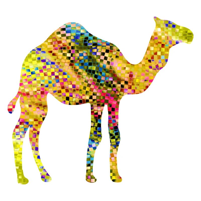 Camel