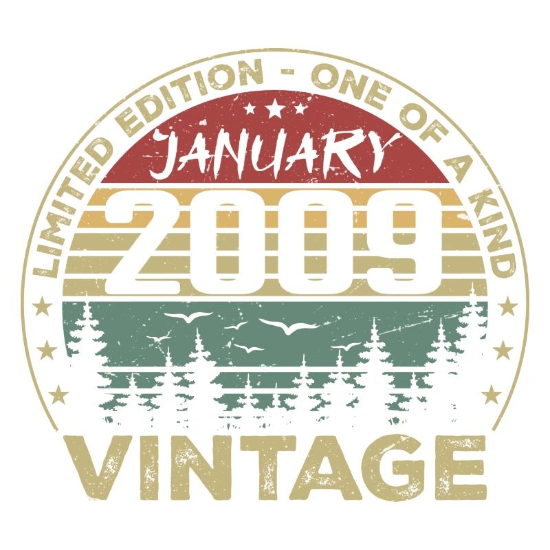 Vintage Janvier 2009 Anniversaire Janvier 2009
