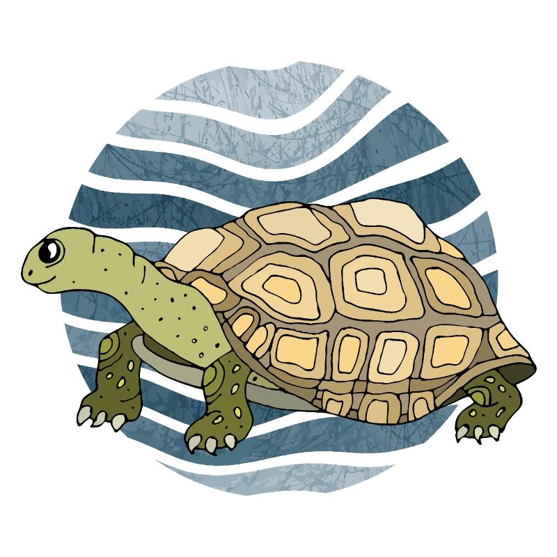 tortoise