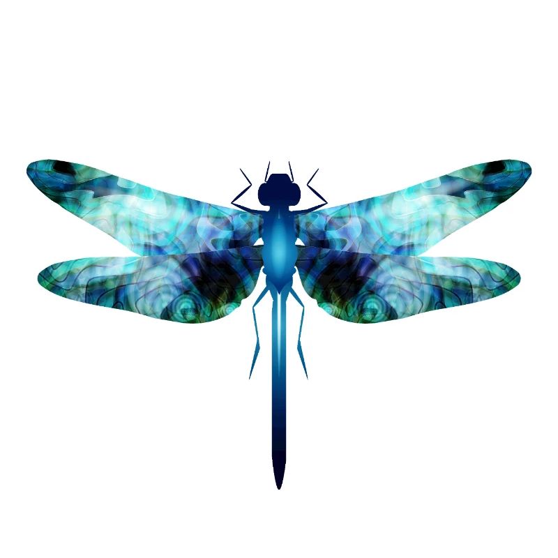 Libellule irisée dans les tons bleu-vert