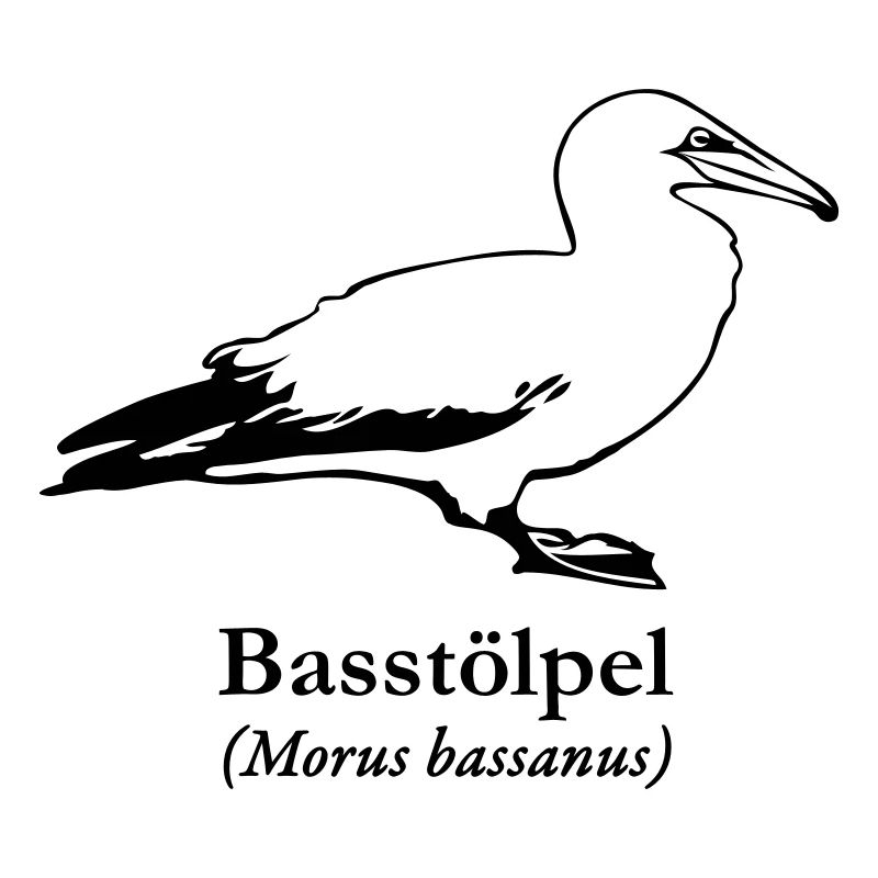 Basstölpel