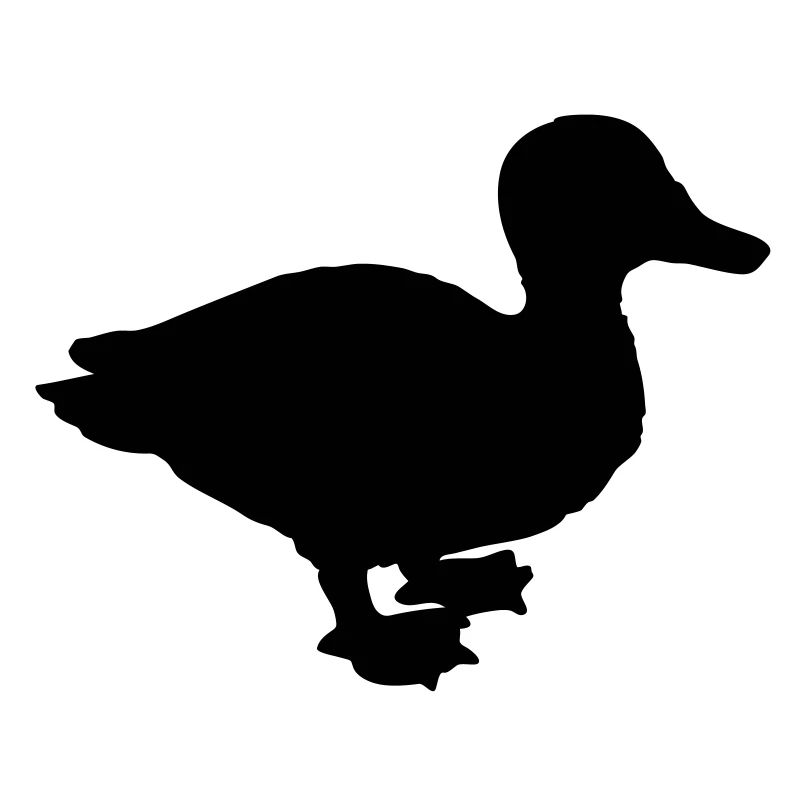ente_t1