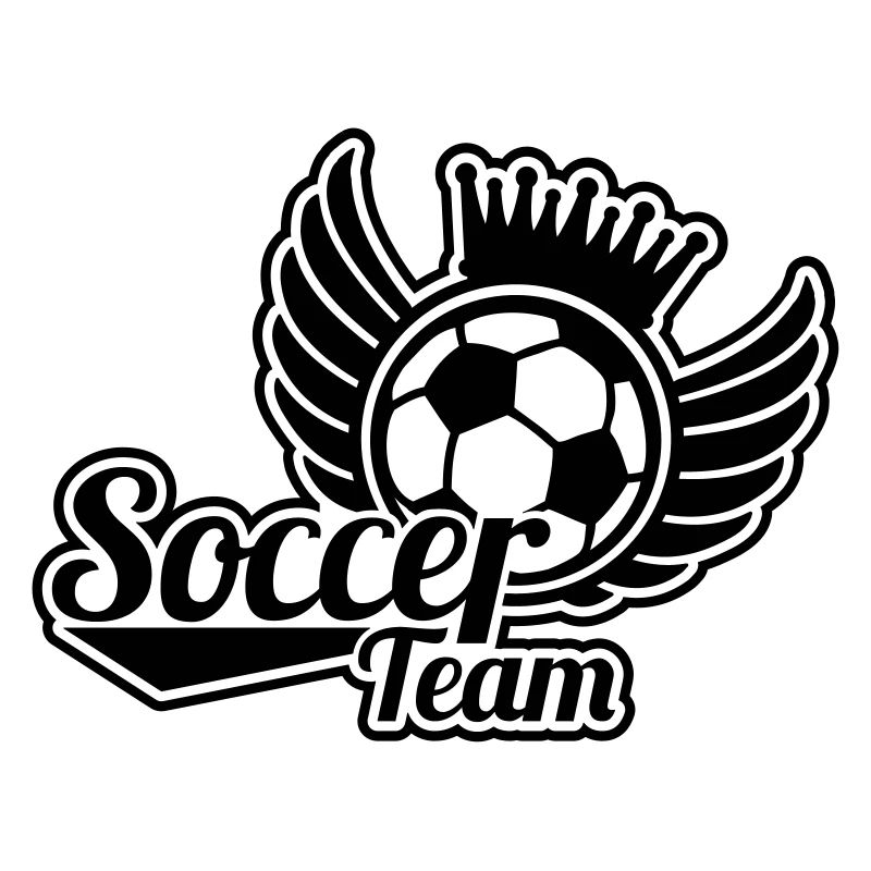 soccer_team_he1