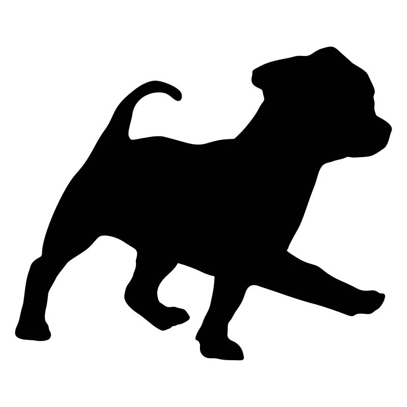 Hund, Hündchen