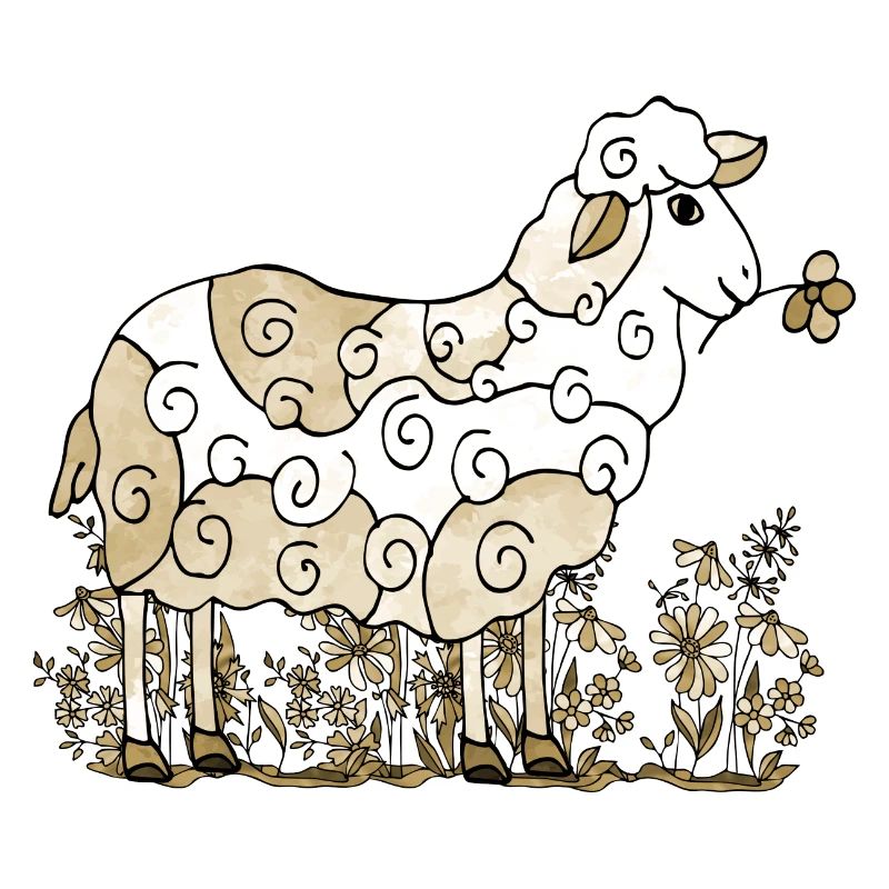 Sheep