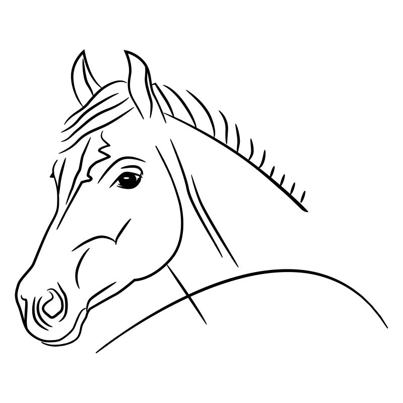 Illustration de tête de cheval