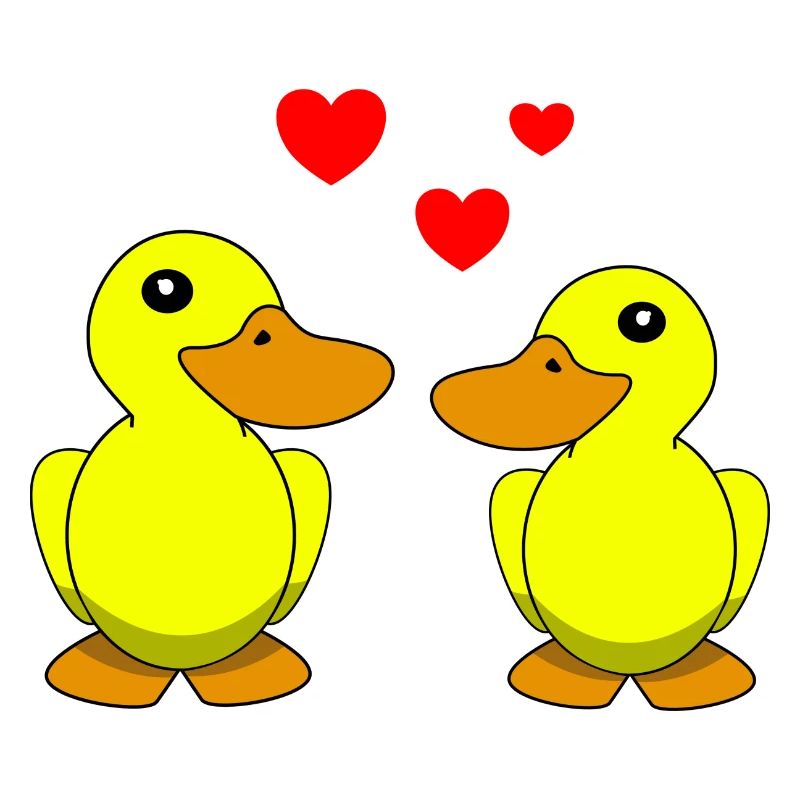 Ducks Valentine's Day