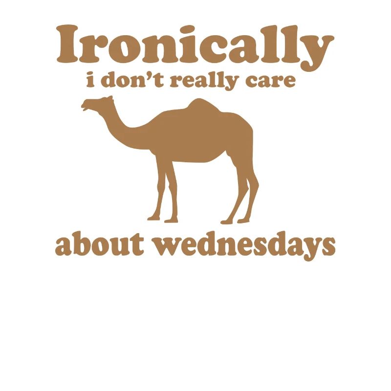 Fun camel fun