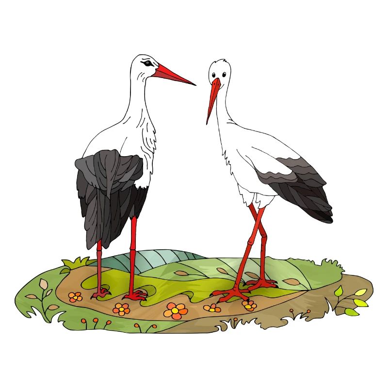 Storks
