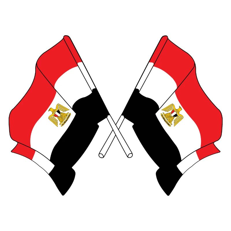 Deux drapeaux Egypte