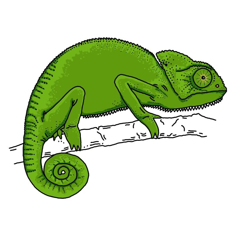 Vert caméléon