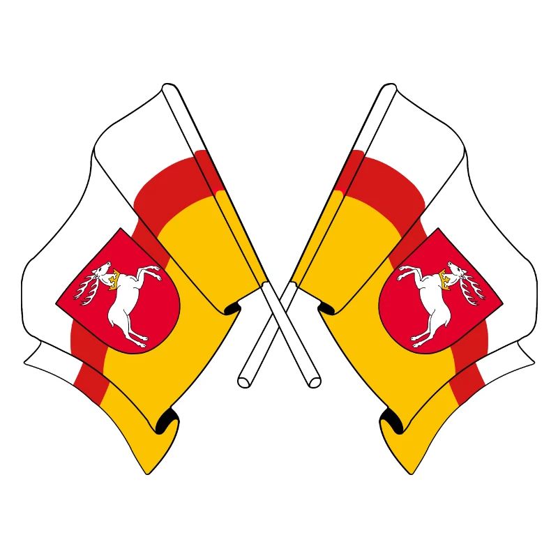 Two flags Lubin