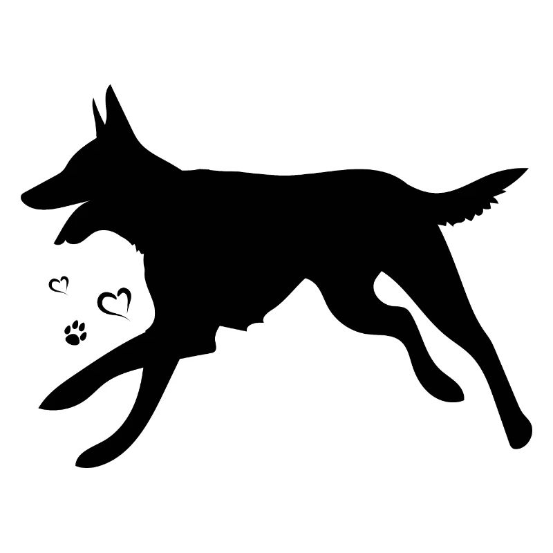 Belgian Malinois Shepherd Dog