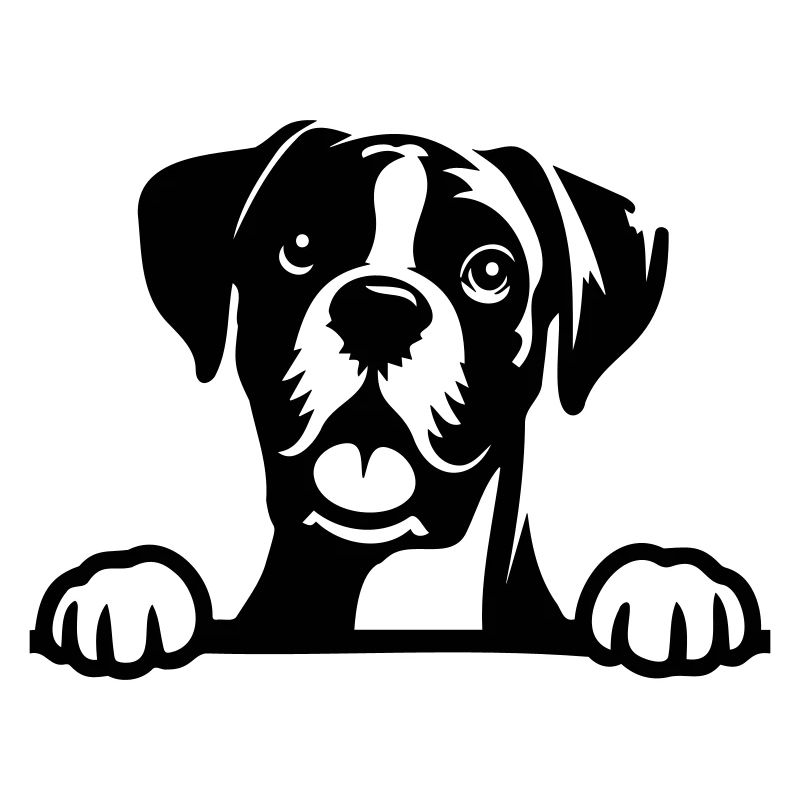 Boxer