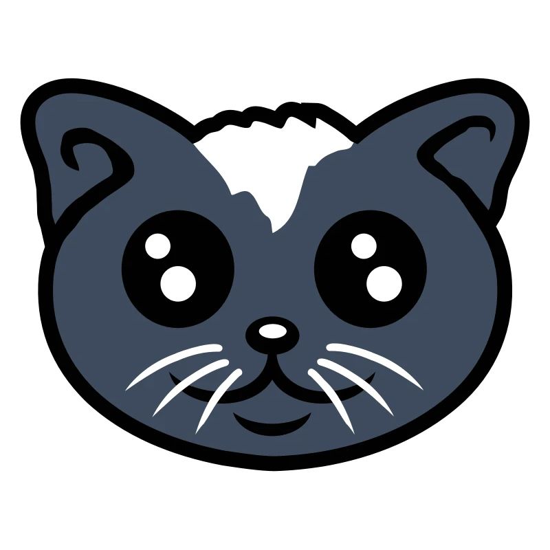 Chat Animal de compagnie Mignon Chaton Friendly