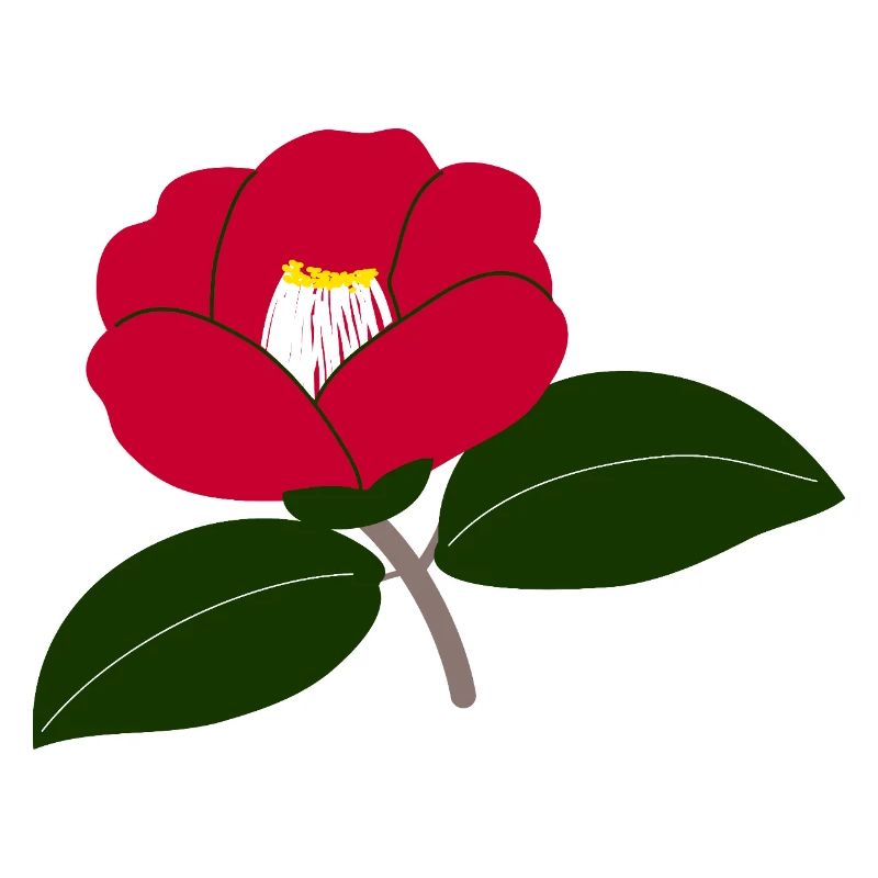 Fleur de camélia rouge illustration2