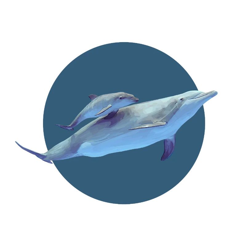 Dolphin