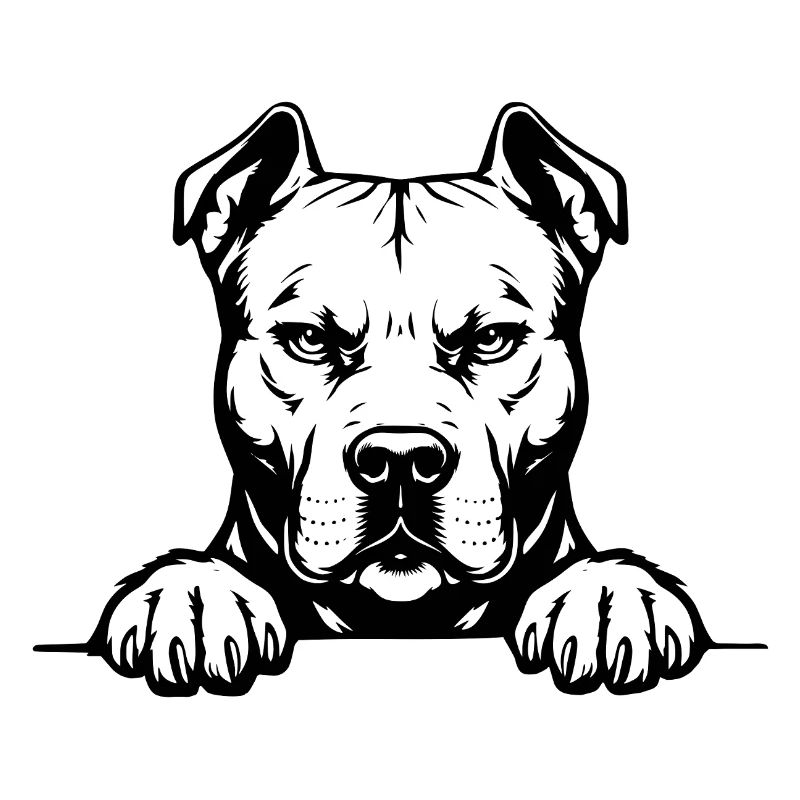 Pitbull Kopf mit Pfoten