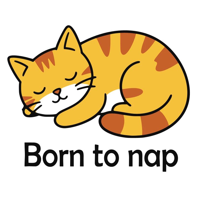 Conception du sommeil du chat né pour la sieste