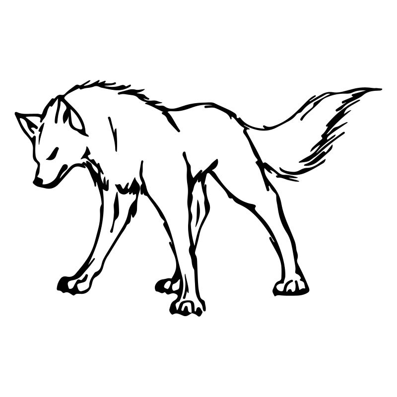 wolf
