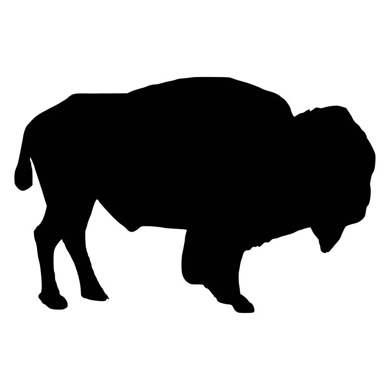 Bison