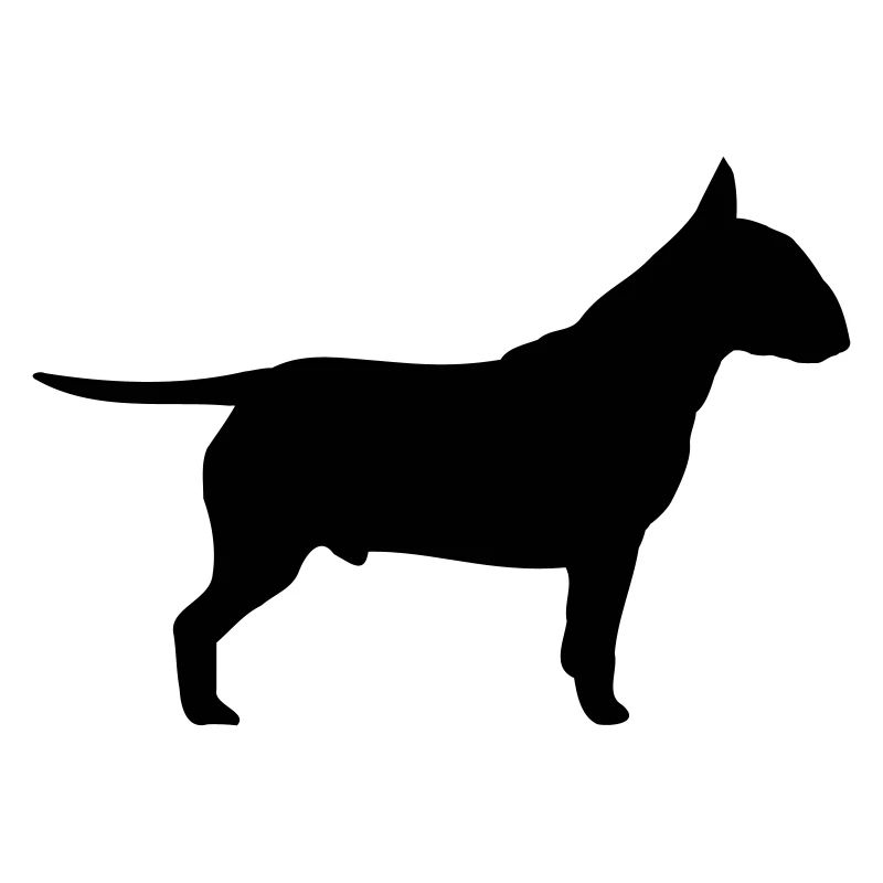 Chien