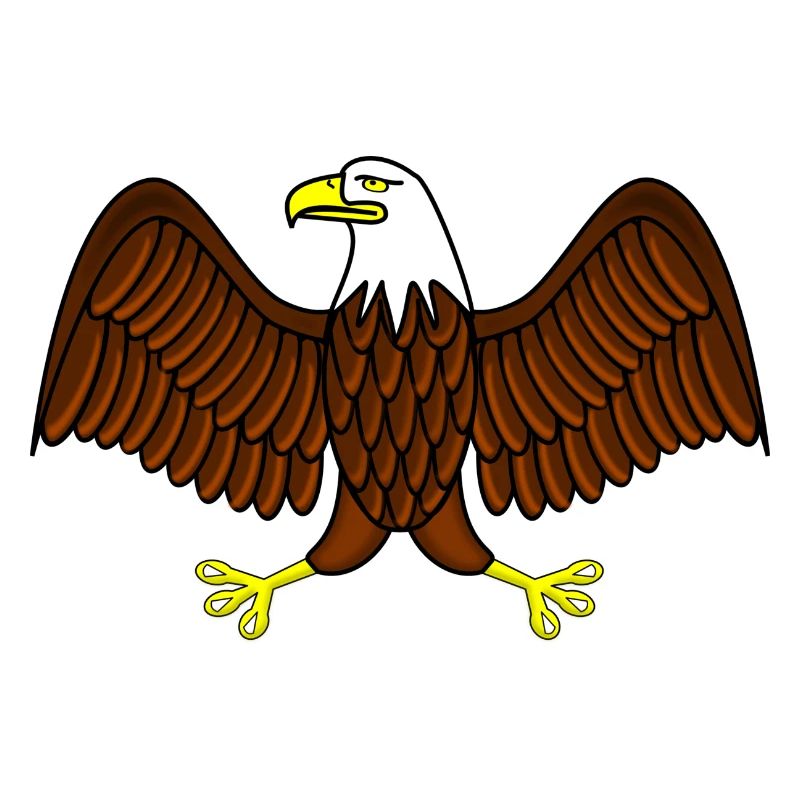 eagle eagle buzzard falcon habicht hawk falcon8
