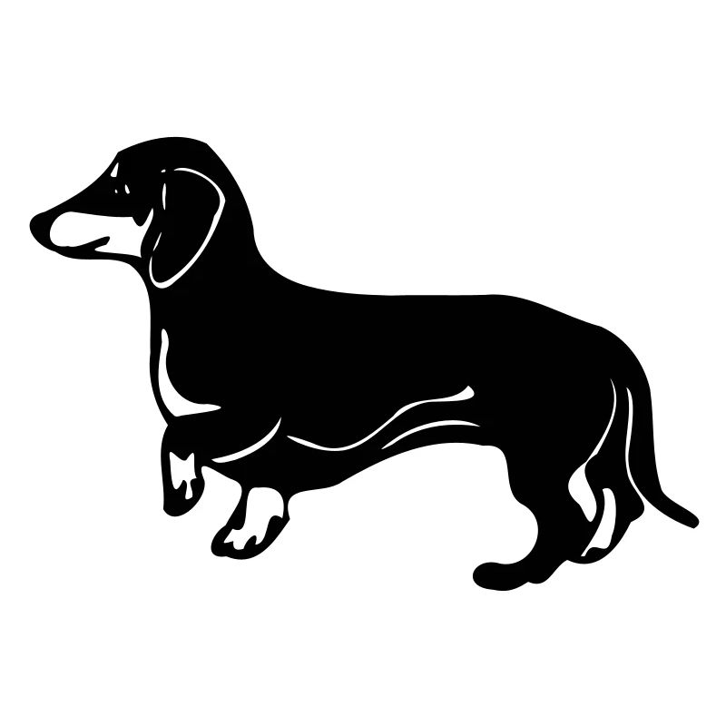 dackel hund
