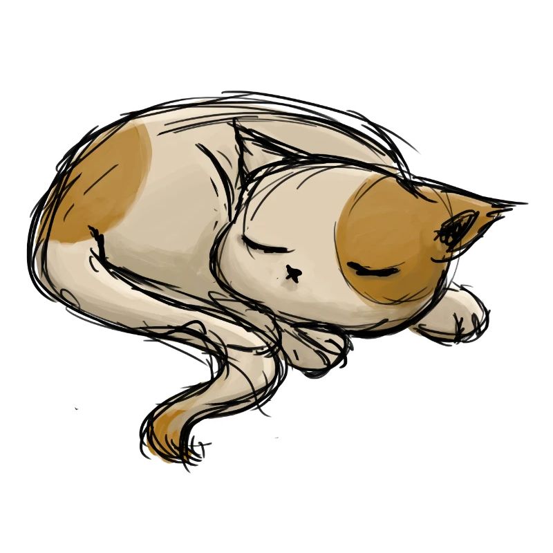 Sleeping cat stroke drawing