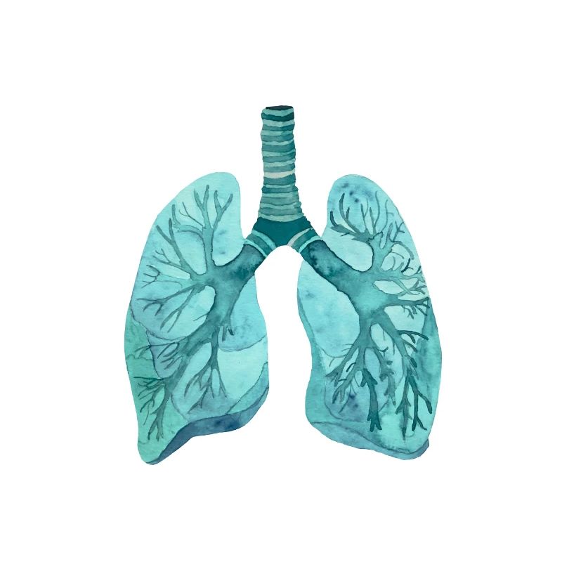 Lung medics