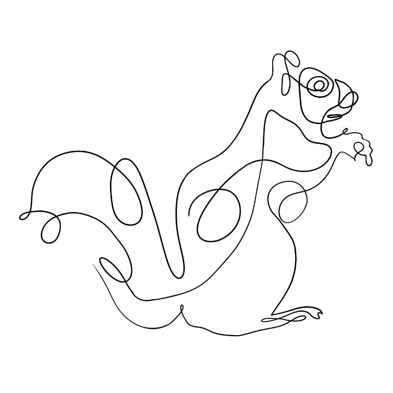 Squirrel squirrel rodent line rodent