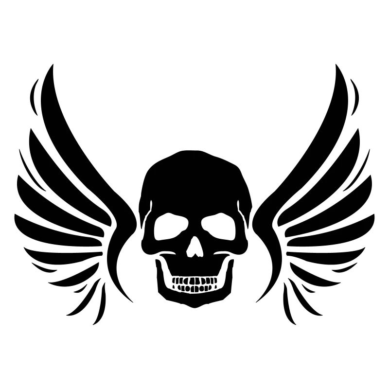 fly_skull_01