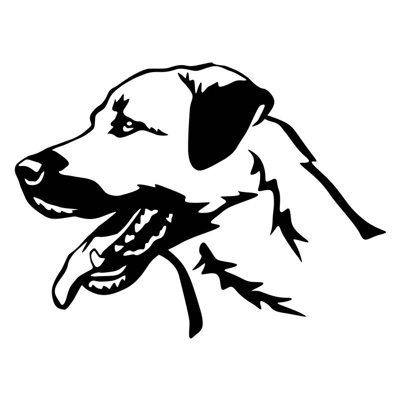 Tête de kangal