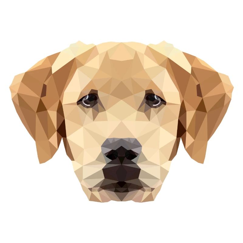 Dog Labrador Polygon