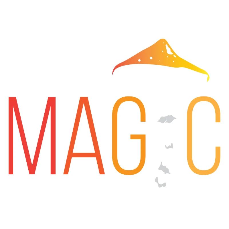 Magic Champignons Champignons Champignons