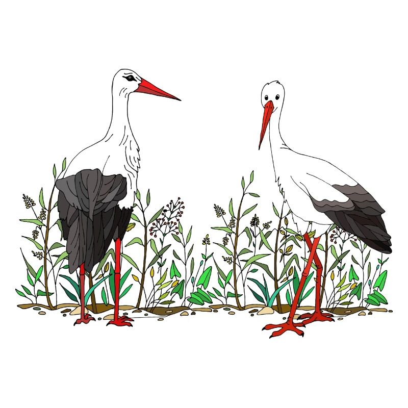 Storks