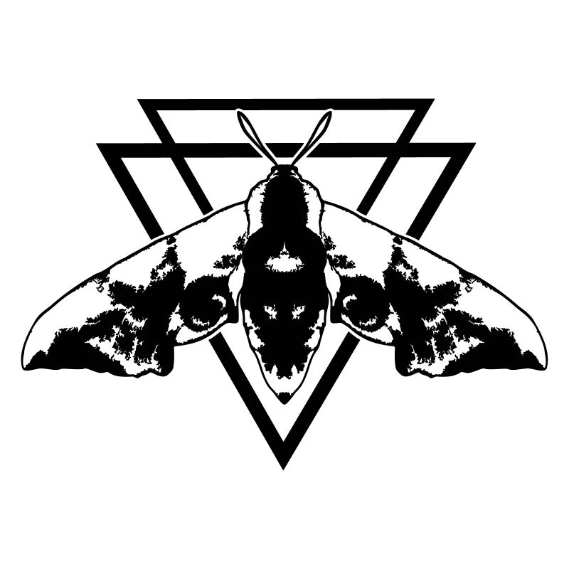 Moth