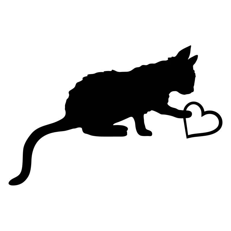 Touche le cœur mignon chaton