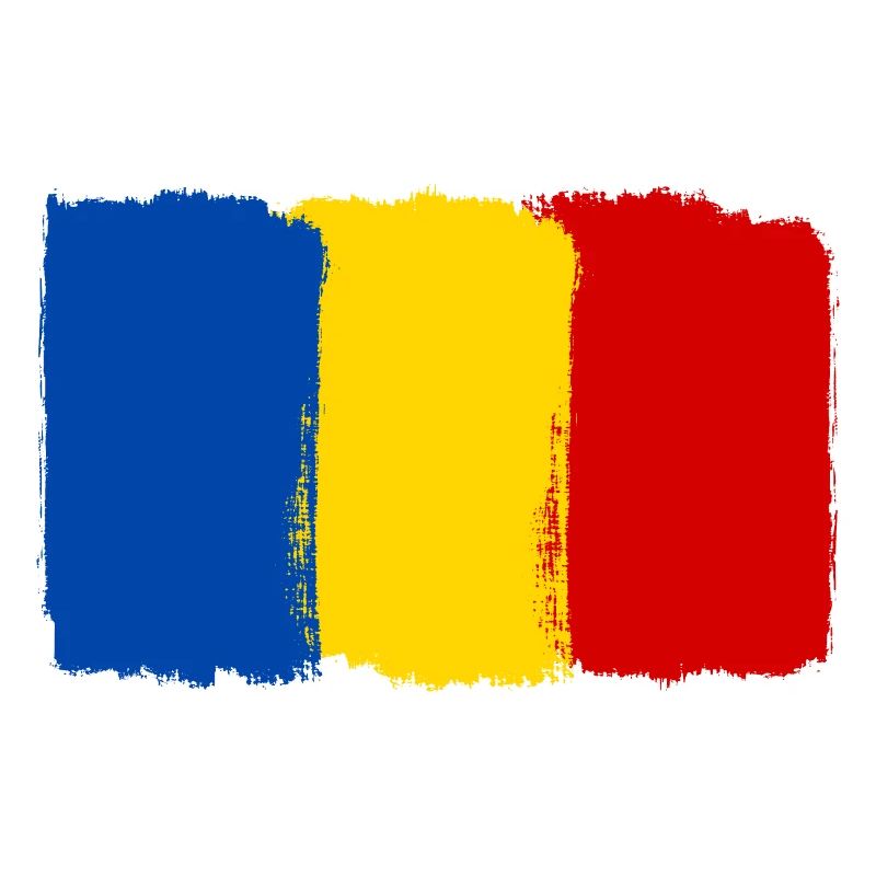 Drapeau de la Roumanie utilisé look