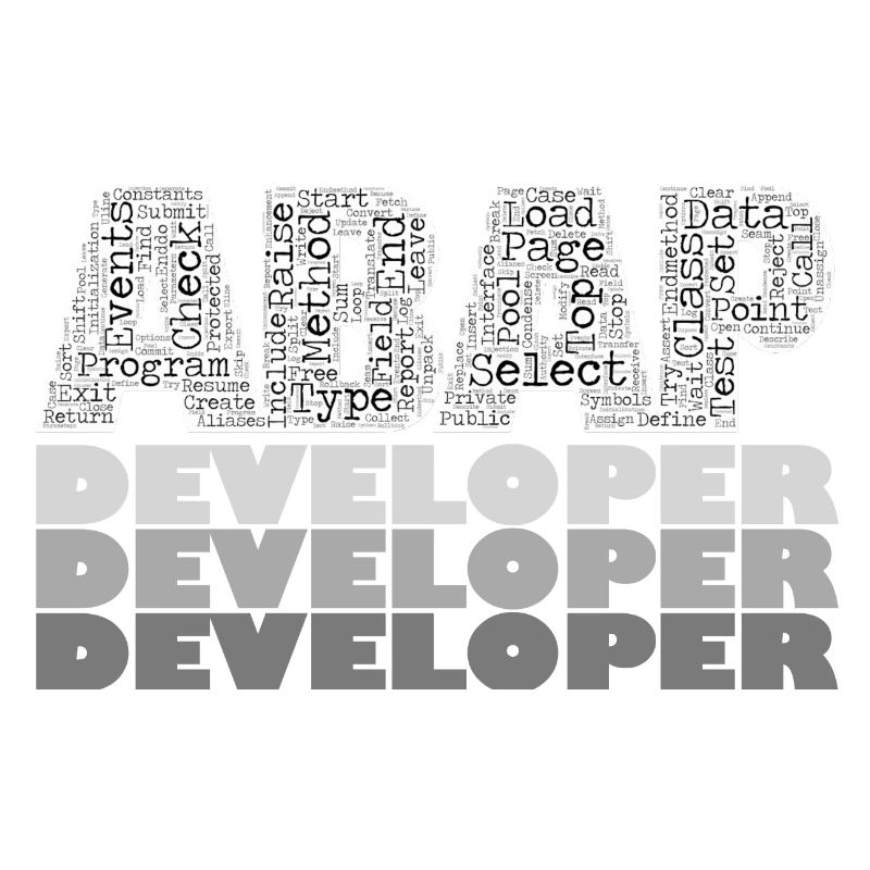 ABAP Developer