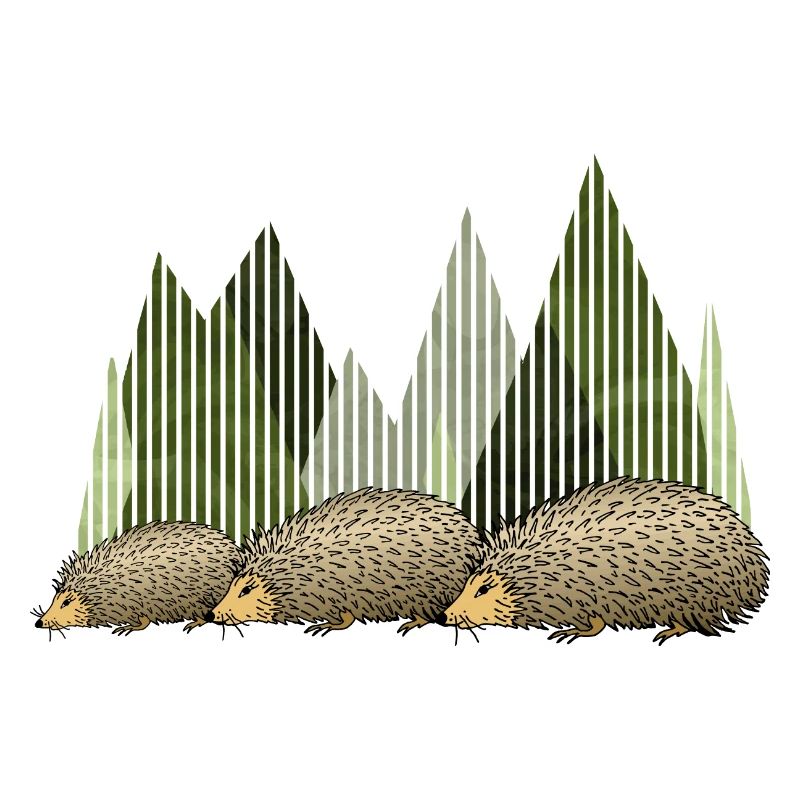 Hedgehogs