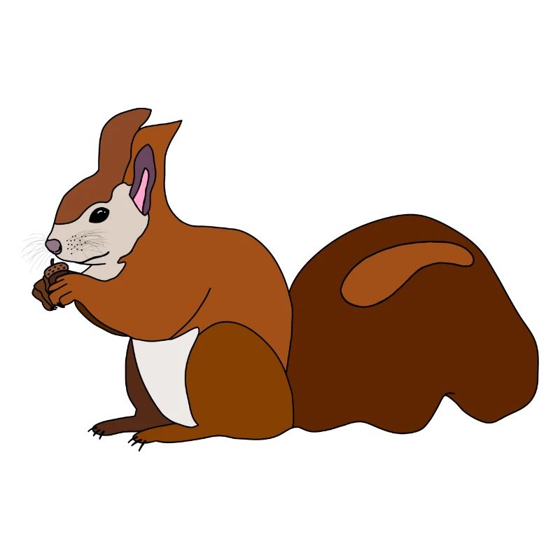 Eichhörnchen mit Nuss