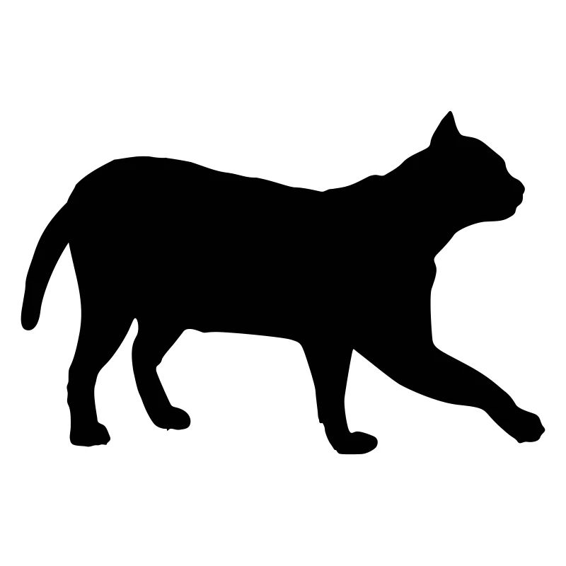 katze
